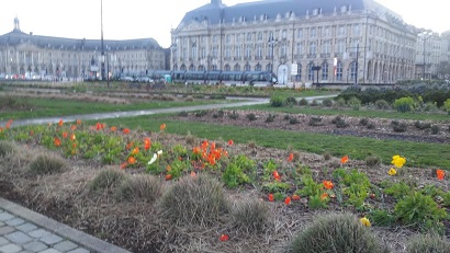 Bordeaux