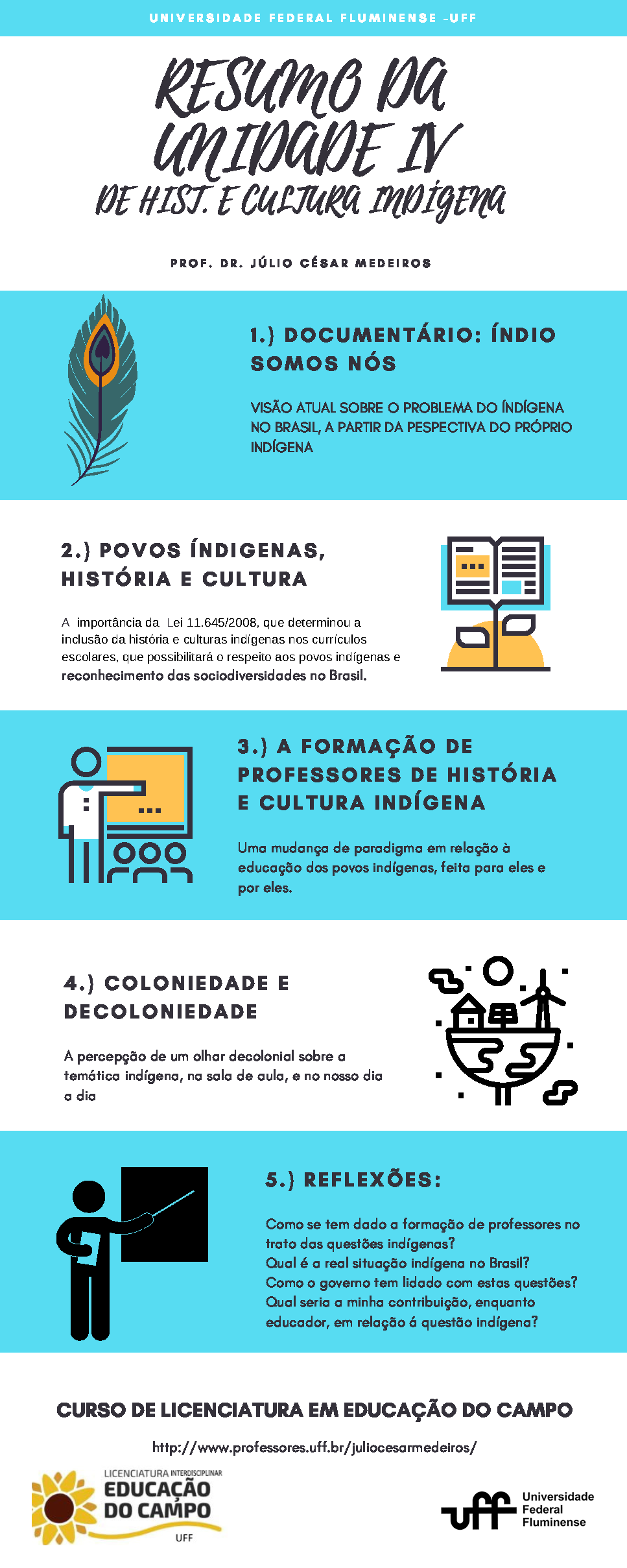 Resumo da unidade IV -Hist indigena